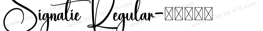 Signatie Regular字体转换